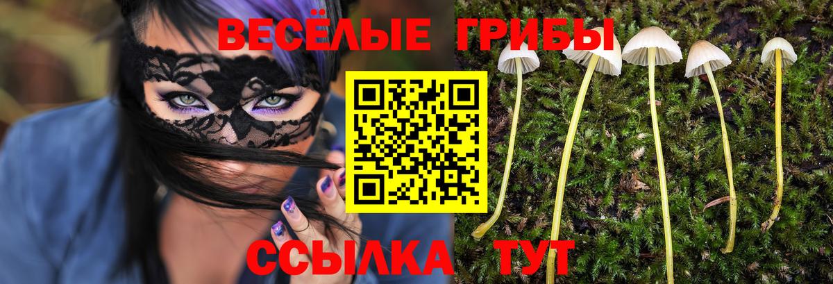 Псилоцибиновые грибы Cubensis  Вход с VPN  Касимов 