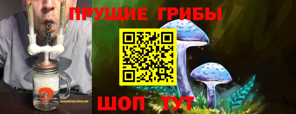 Псилоцибиновые грибы мицелий Касимов